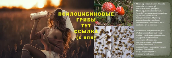 ALPHA-PVP Аркадак