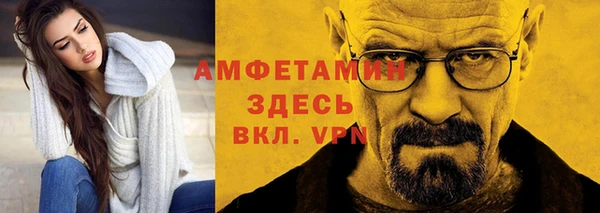 шишки Арсеньев