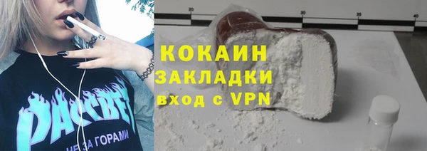 шишки Арсеньев