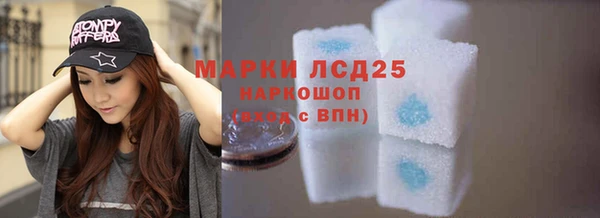 шишки Арсеньев