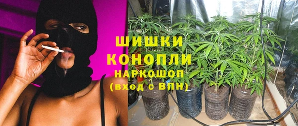 шишки Арсеньев