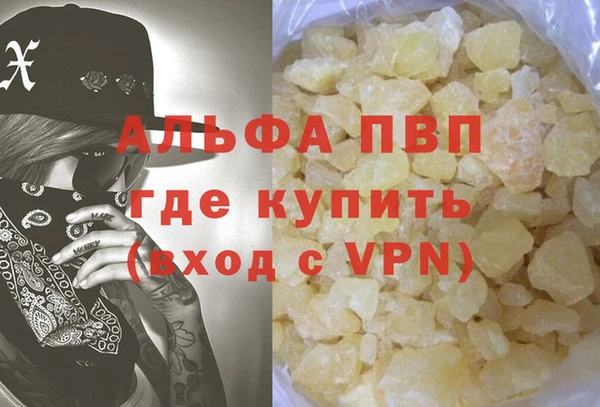 шишки Арсеньев