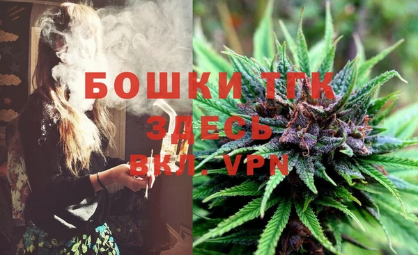 шишки Арсеньев