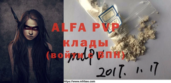 шишки Арсеньев