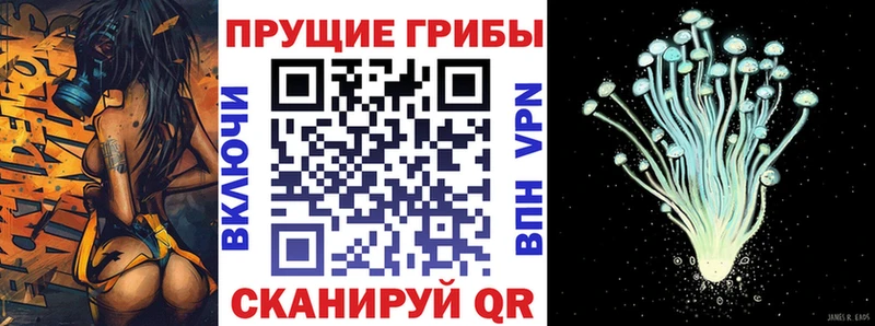 Псилоцибиновые грибы Psilocybine cubensis  Мичуринск 